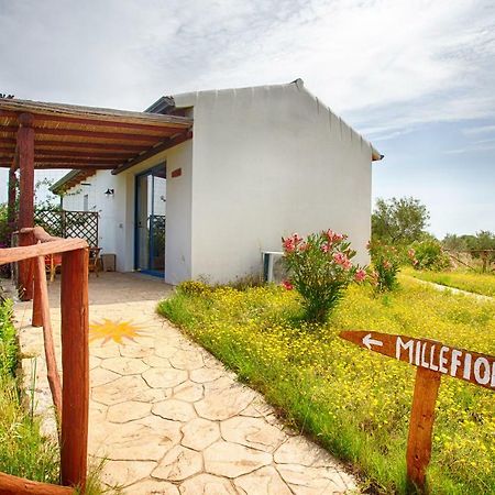 Agriturismo Mieleamaro Villa Olbia Exterior photo