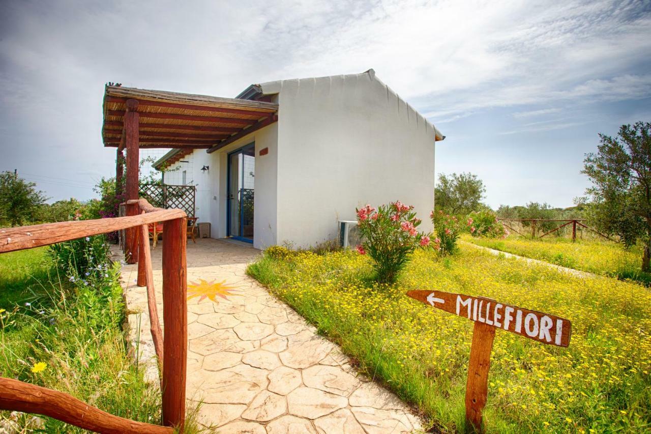 Agriturismo Mieleamaro Villa Olbia Exterior photo